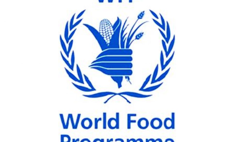 Agricultural Engineer (Programme Policy), Job Ref. NG/WFP/2603/2519