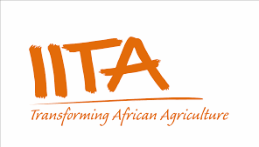 Chief Financial and Risk Officer (CFRO), Ibadan, Nigeria- Ref. NG/IITA/3008/2543